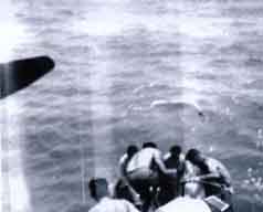 Click For Enlargement