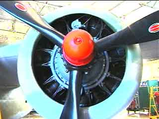 Click For Enlargement