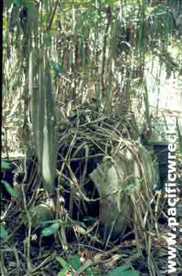 Click For Enlargement