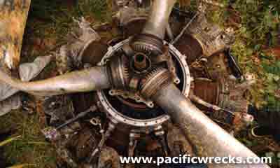 Click For Enlargment