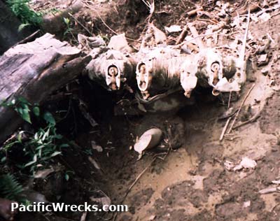 Click For Enlargement