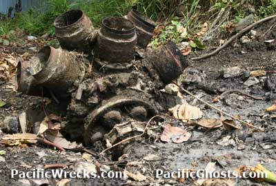 Click For Enlargement