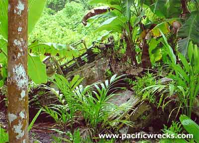 Click For Enlargment