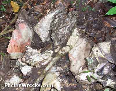 Click For Enlargement