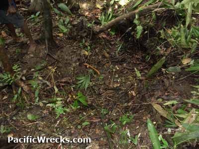 Click For Enlargement