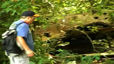 Click For Enlargement