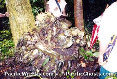 Click For Enlargement