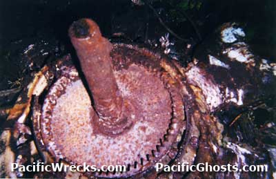 Click For Enlargement