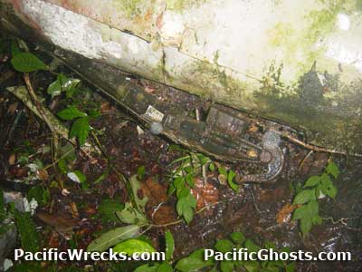 Click For Enlargement