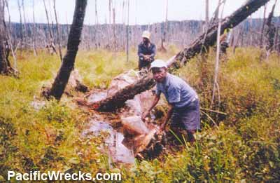 Click For Enlargement