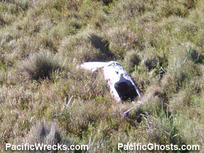 Click For Enlargement