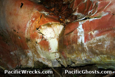 Click For Enlargement