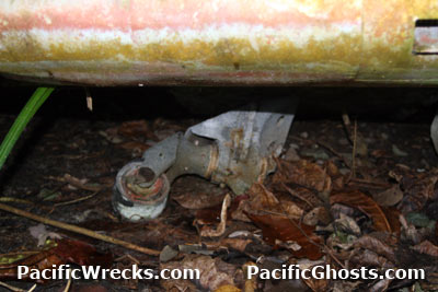 Click For Enlargement