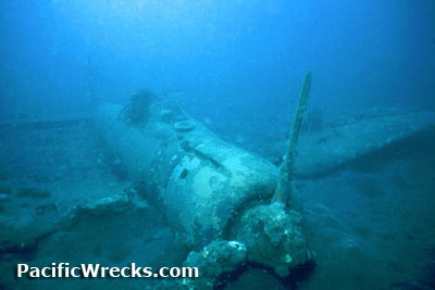 Click For Enlargement