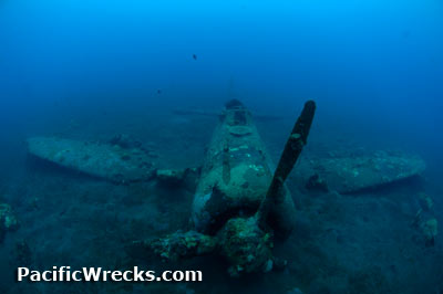 Click For Enlargement