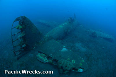 Click For Enlargement