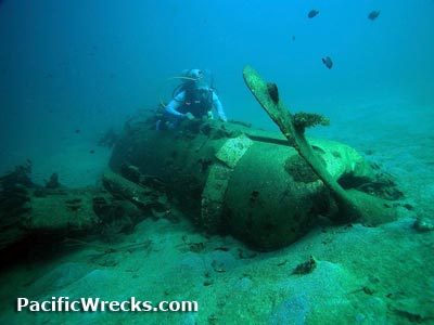 Click For Enlargement