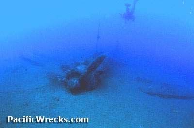 Click Fo Enlargement