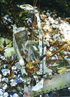 Click For Enlargement