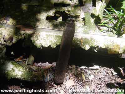 Click For Enlargement