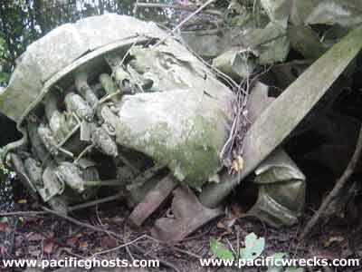 Click For Enlargement