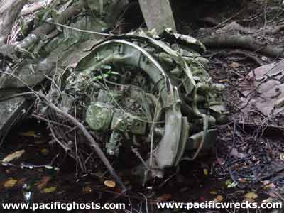 Click For Enlargement