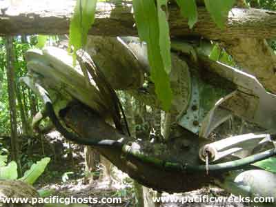 Click For Enlargement