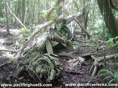 Click For Enlargement