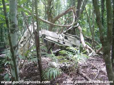 Click For Enlargement