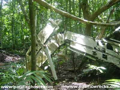 Click For Enlargement