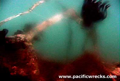 Click For Enlargement