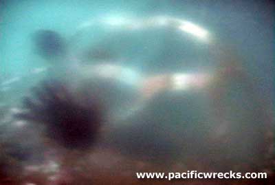 Click For Enlargement