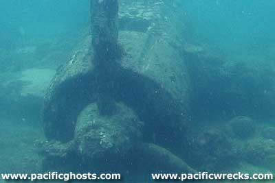 Click For Enlargement