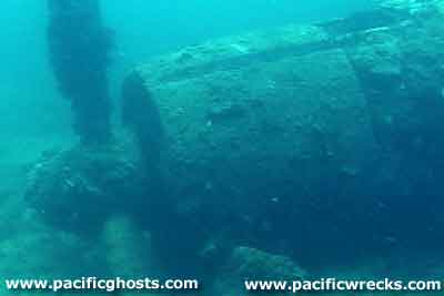 Click For Enlargement