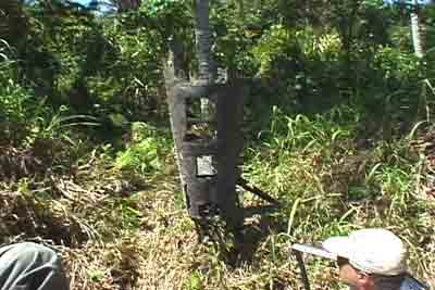 Click For Enlargement