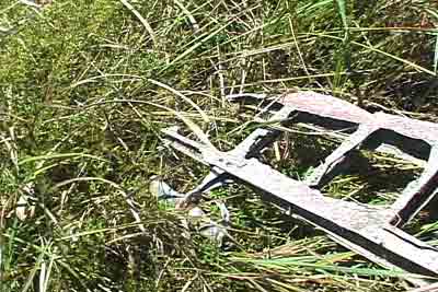 Click For Enlargement