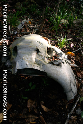 Click For Enlargement