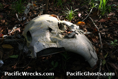 Click For Enlargement