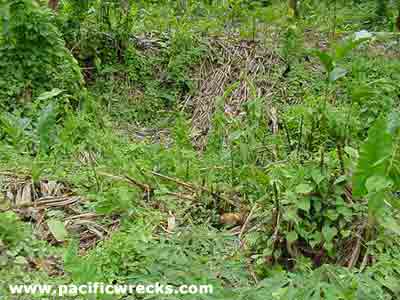 Click For Enlargement