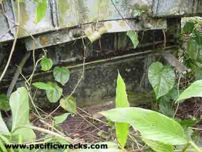 Click For Enlargement