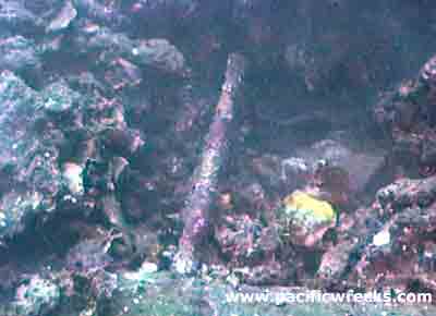 Click For Enlargement