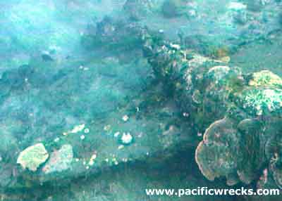 Click For Enlargement