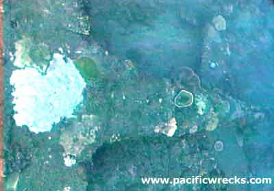 Click For Enlargement