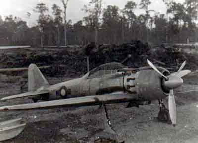 Click For Enlargement