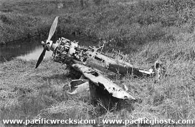 Click For Enlargement