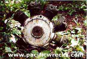 Click For Enlargement