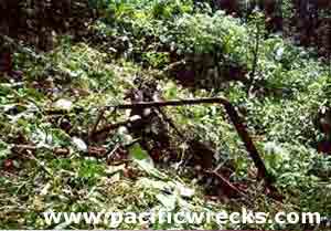 Click For Enlargement