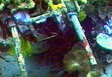 Click For Enlargement