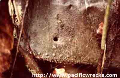 Click For Enlargement