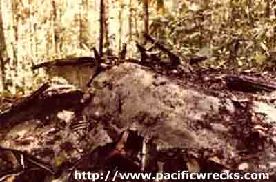 Click For Enlargement